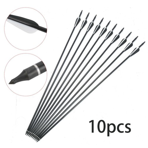 10pcs fiberglass arrows - 10pcs,