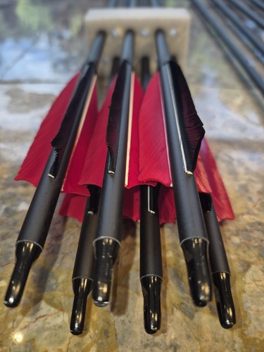 Archery carbon arrows - 6,