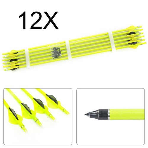12pcs archery arrows - arrows, mix