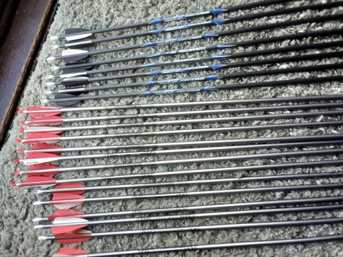 Easton 500 spine - , carbon