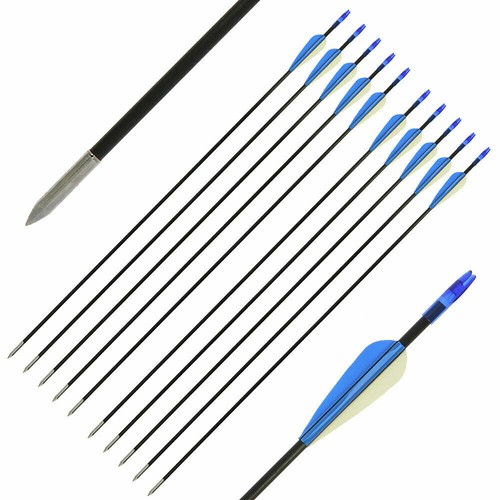 Fibreglass archery arrows for - fibreglass,