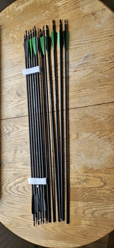 12pcs carbon arrow 500 - carbon,