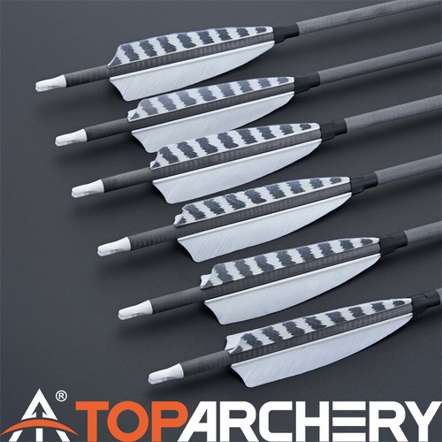 Archery hunting carbon - 32",