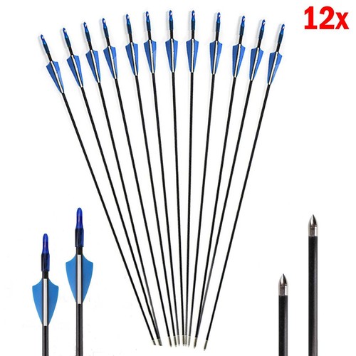 Fibreglass archery arrows - 12,