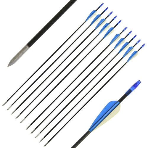 Archery fiberglass arrows - archery, 26"